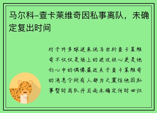 马尔科-查卡莱维奇因私事离队，未确定复出时间