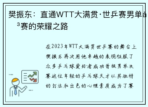 樊振东：直通WTT大满贯·世乒赛男单决赛的荣耀之路